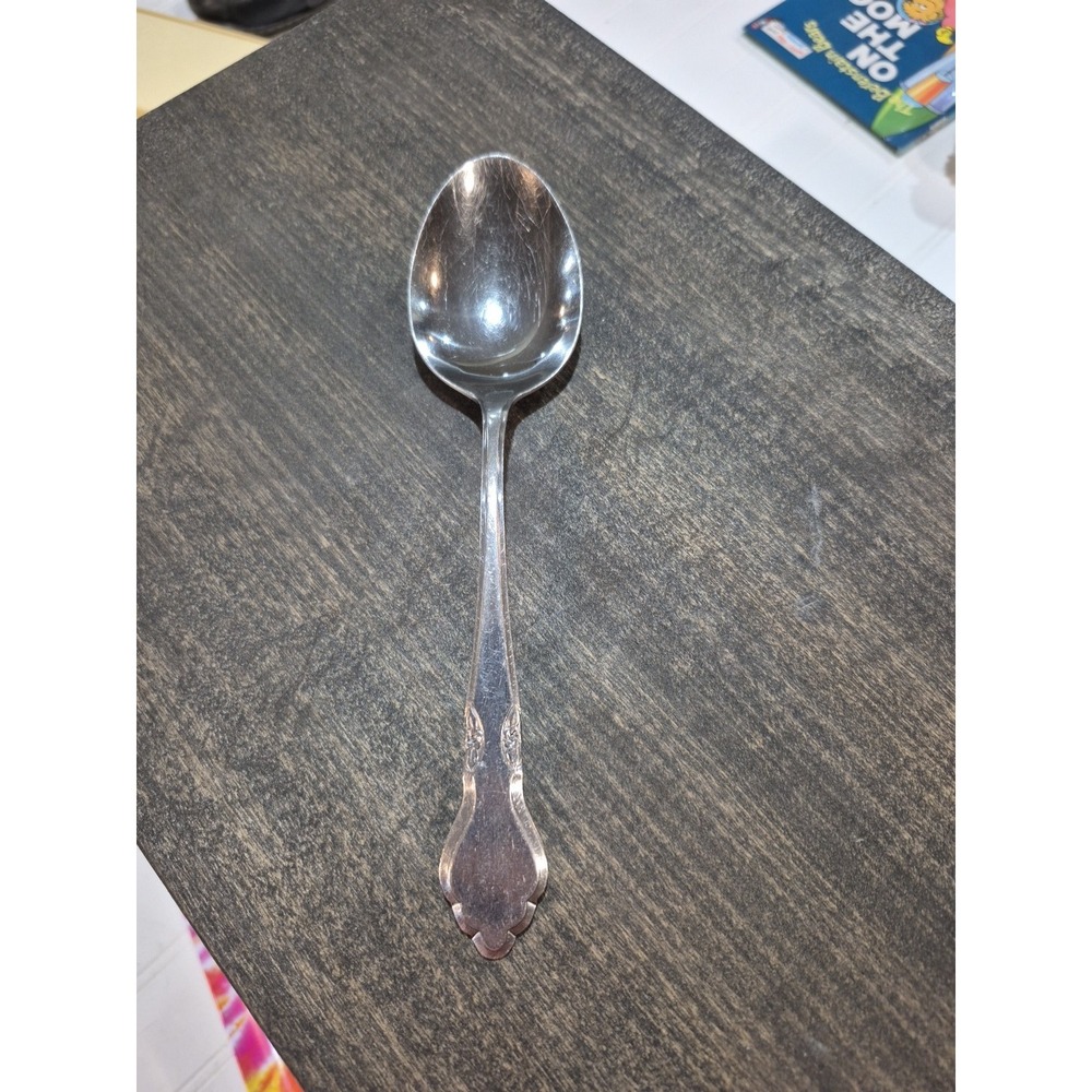 COG21 (Stainless) by Continental Gourmet Tablespoon Discontinued